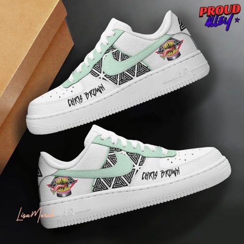 Chris Brown Evolution 1111 Tour Air Force 1